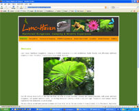 Lync Haven Rainforest Bungalows, Camping & Wildlife Experience - Cape Tribulation Accommodation