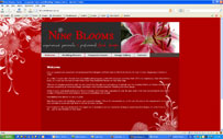 Nine Blooms - Cairns Floral Designs