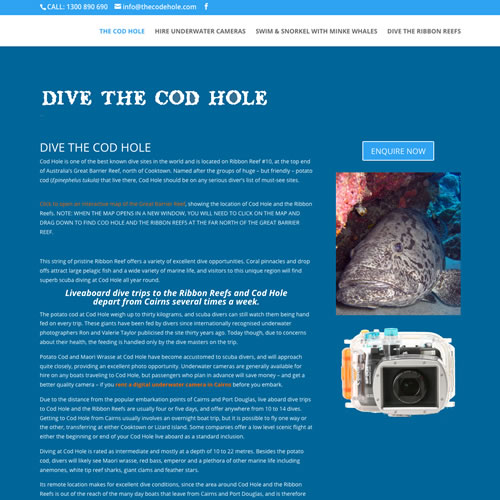 Cod Hole Tour Cairns